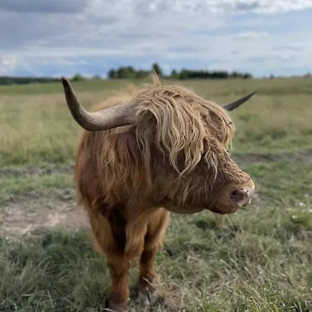 Ciche Wody Vakantieboerderij *