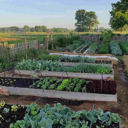 Ciche Wody Farm stay Budry
