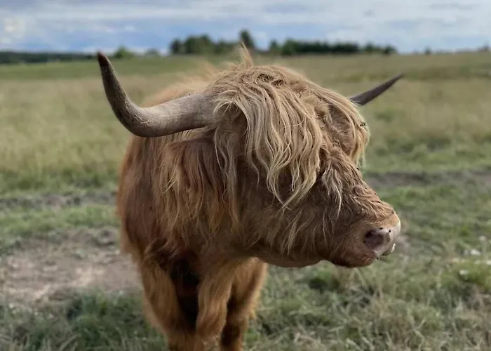 Ciche Wody Κατάλυμα σε φάρμα *