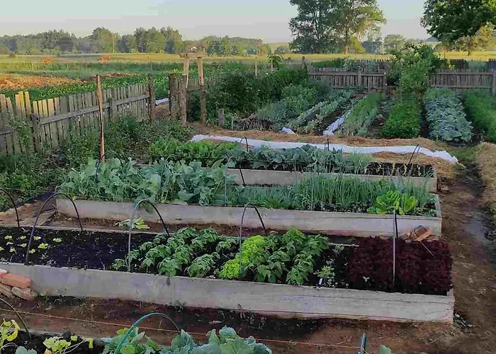 Ciche Wody Κατάλυμα σε φάρμα Budry